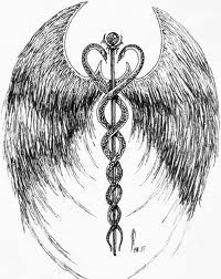 caduceus6